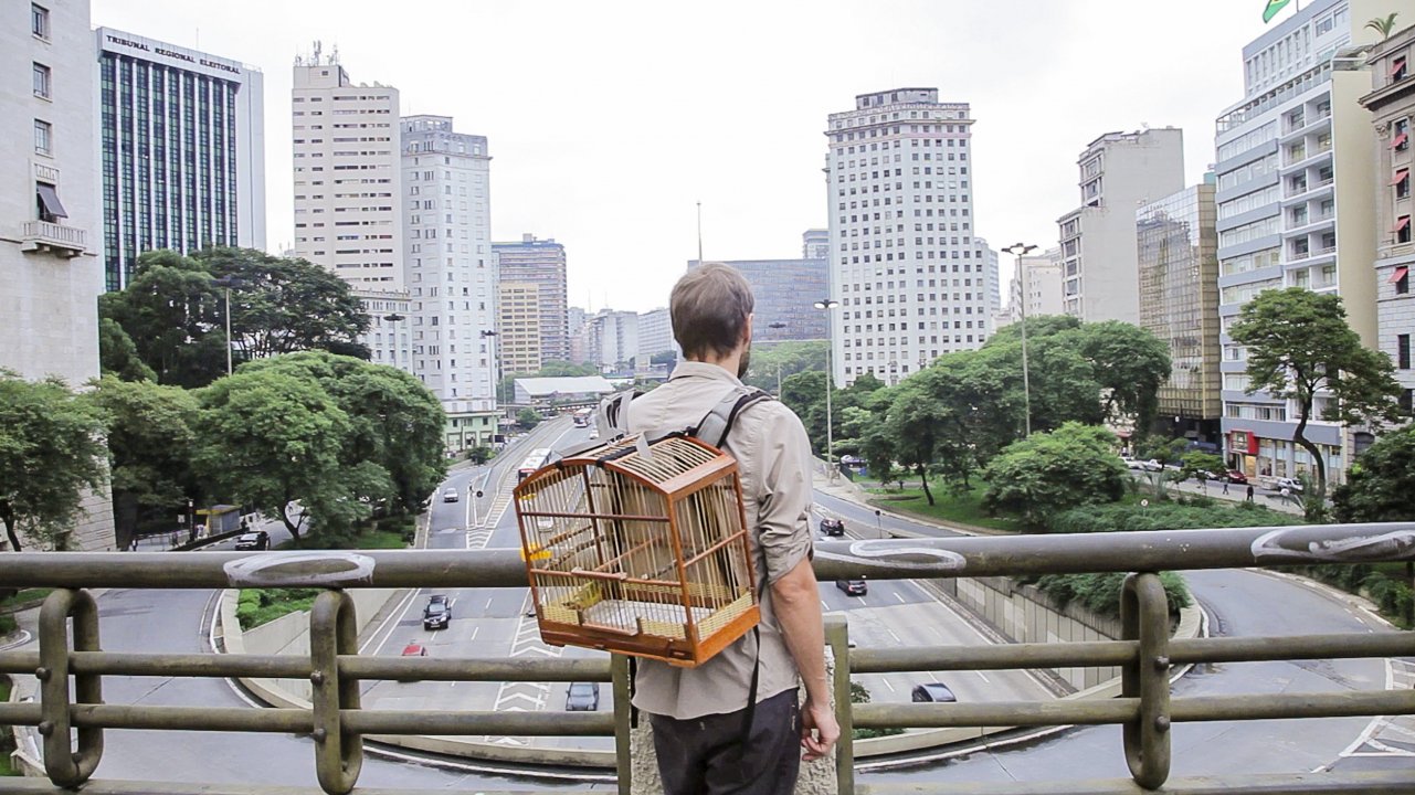 Wie%20ich%20meinem%20Vogel%20die%20Welt%20erkla%CC%88re